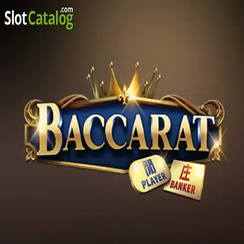 Baccarat C08 ব্যাকারেট C08 tk555